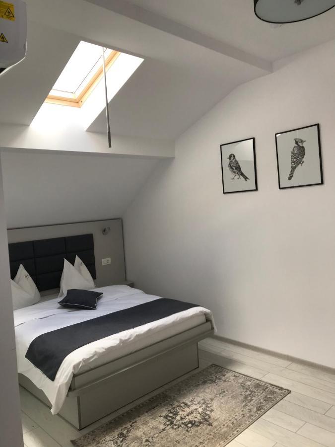 Pensiunea Max Cluj-Napoca Extérieur photo